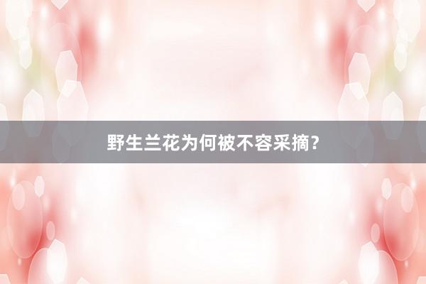 野生兰花为何被不容采摘？